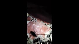 Philippines: Aftermath of Deadly M6.9 Earthquake in Cebu 3