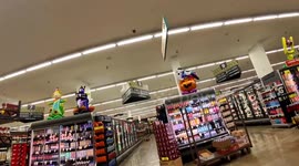 Bear cub caught running through supermarket in Arizona