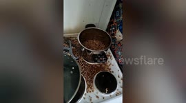 Woman suffers burns as pressure cooker explodes while cooking