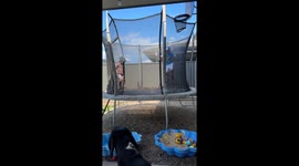 Toddler’s trampoline tumble delights viewers—backyard fail racks up 5,138 views in a day