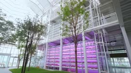 China: AI-driven smart farming adopted in Beijing's Haidian, Hebei's Xiongan