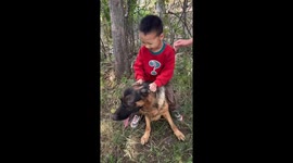 Child falls while riding shepherd dog in Shandong, China