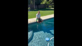 Spoiled Dachshund Gets Dipped in Cool Pool