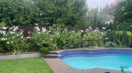 Gentle rain drizzles, creating a calm and tranquil scene in El Segundo, California, USA