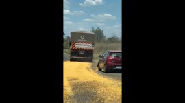 Truck Spills Corn Load on Road In Brazil