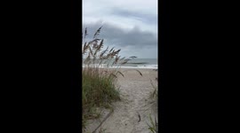 Serene coastal pathway at Huntington Beach State Park, Murrells Inlet, USA