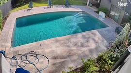 Buzzkill Bellyflop