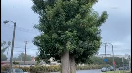 US, Los Angeles: Pomona October Rain