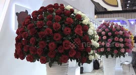 Colombia: Bogota hosts Proflora 2025 floriculture fair with vibrant display