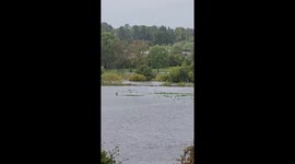 River Ure bursts it's banks near Ripon, North Yorkshire