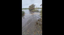 River Ure bursts it's banks near Ripon, North Yorkshire