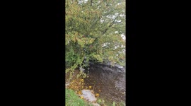 River Ure bursts it's banks near Ripon, North Yorkshire