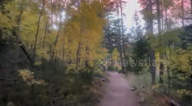 Biking through autumn forest at sunset in Colorado, USA