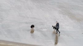 Storm Amy batters the country, plate glass shaking, bringing close to 100mph winds and heavy rain UK