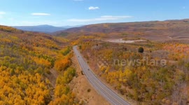 Stunning fall colors on Monte Cristo Highway, Utah, USA