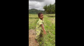 Backflip mishap in Bohol rice field, Philippines