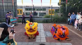 Moon Festival lion dance procession, Sydney, Australia