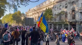 US: Opposition-led protest erupts in Tbilisi over local elections