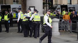 Palestine Action Supporters Face Mass Arrests During Trafalgar Square Protest