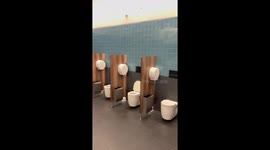 Mirror Mirror in the Stall… Everyone Can See It All