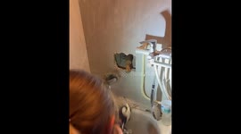 Rescuers free cat trapped for four days inside wall vent shaft in Moscow, Russia