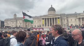 Italy: Multiple European countries stage mass pro-Palestine protests