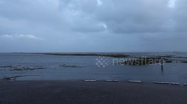 Animals flee en masse from high water in the Netherlands