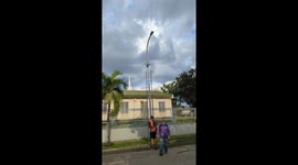Man attempts to remove wasp nest from streetlight in Valencia, Venezuela