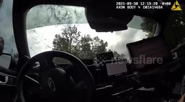Volusia Deputy Arrests Habitual Offender After Foot Chase Ends in Park