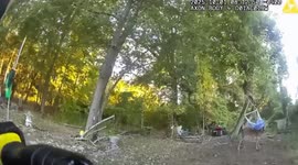 Deputies Free Deer Tangled in Backyard Hammock in Michigan