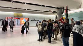 UK: UK activists return after Israel detention