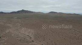 Chile: Atacama Desert, the driest in the world, blooms in Chile following unusual rainfall