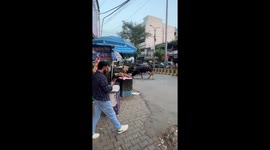Stray bulls cause chaos fighting on street in India