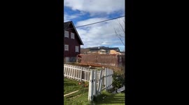 Norway: Storm Amy With Powerful Winds Knocks Down Trees, Causing Extensive Damage 2