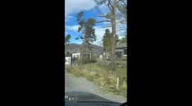 Norway: Storm Amy With Powerful Winds Knocks Down Trees, Causing Extensive Damage