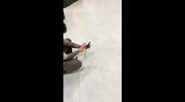 Lizard sprints on two legs inside building in Jiangsu, China