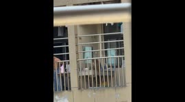Curious macaque startles group of men in Guizhou, China
