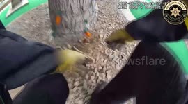 Officer Rescues Baby Squirrel After Fall at Mini Golf Course