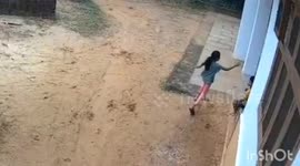 Golden jackal tries to kidnap boy as frantic mother bats animal away