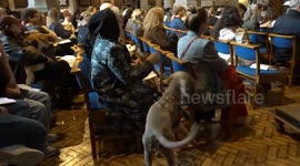 Pet Blessing at Holy Trinity Church Sloane Square started by prayer for the animals on 4 October 2025