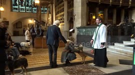 Dozens of dogs blessed by priest at UK church as Christians celebrate feast of Saint Francis