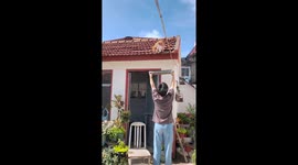 Owner rescues cat safely from rooftop in Shandong, China