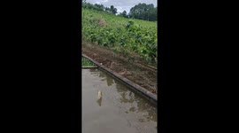 Boy slips and falls after catching fish in Yunnan, China