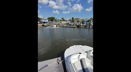 Marina Salvation Altercation