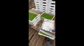 Lying Down on the Job