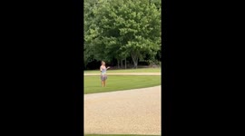 Rescued Birds Won't Fly Away