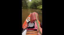 Grilling Steak on a Paddle Board