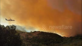 France Wildfires: Dramatic Footage Shows Flames Engulfing Haute-Corse