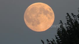 Spectacular Harvest Supermoon: First Supermoon of 2025!