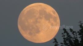 Celestial Commute: Plane Flies Across the Face of October's Supermoon!
